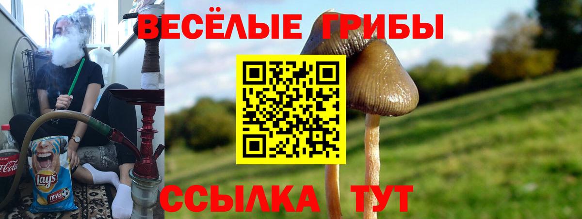 Гулькевичи  Галлюциногенные грибы Magic Shrooms  Вход с VPN  Галлюциногенные грибы MAGIC MUSHROOMS 
